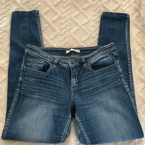 Daytrip Virgo 29R Skinny